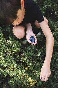 Low section of  boy picking fruits