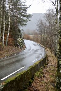 Empty road along trees in forest