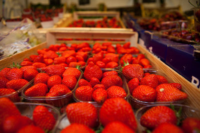 Close-up of fruits for sale in market