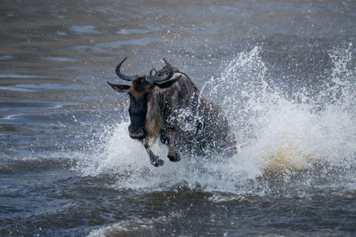 Close-up of water splashing in lake