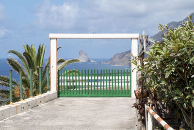 Palm trees by plants against sky