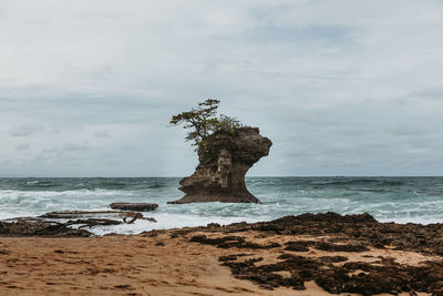 Rock formation on beach against sky