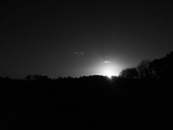 Silhouette trees against clear sky at night