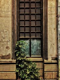 Closed door of old building