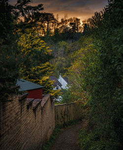 Plants growing by building against sky during sunset