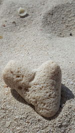 High angle view of shells on sand