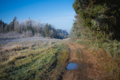 Dirt road amidst trees on field against sky