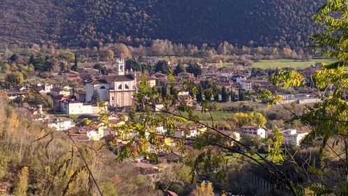 High angle view of buildings and trees in town