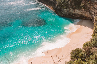 Body of turquoise waters with manta ray in a deserted beach in indonesia. 