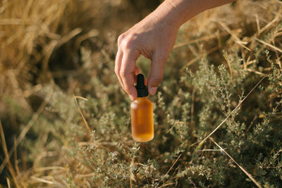 Cropped hand holding bottle over plants