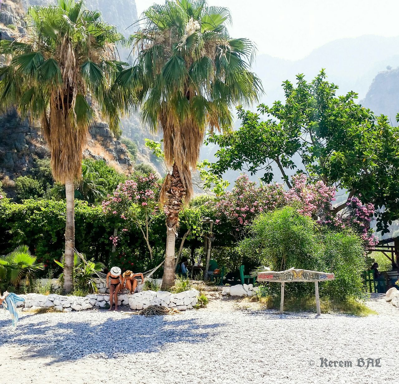 Butterfly Valley