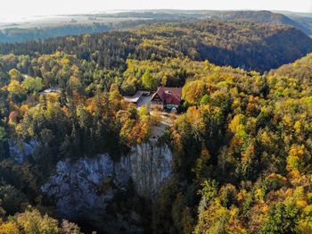 High angle view of trees in forest during autumn