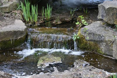 Water flowing through rocks