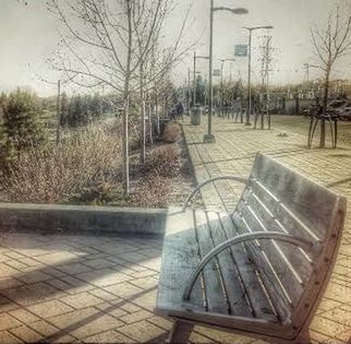 tree, water, sky, railing, empty, bare tree, tranquility, sunlight, absence, day, nature, no people, grass, lake, river, outdoors, reflection, tranquil scene, shadow, bench