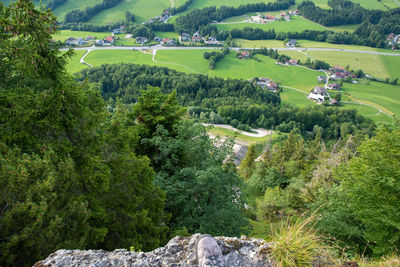 High angle view of trees on landscape