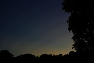 Silhouette trees against clear sky