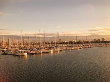 Sailboats moored at harbor