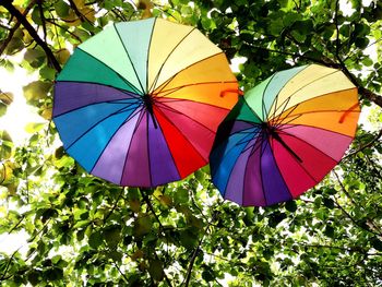 Low angle view of multi colored umbrella against sky