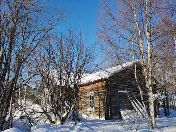 Bare trees on snow covered field against sky