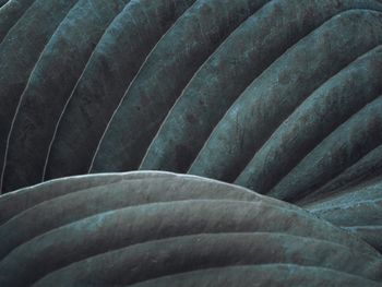 Full frame shot of firewood