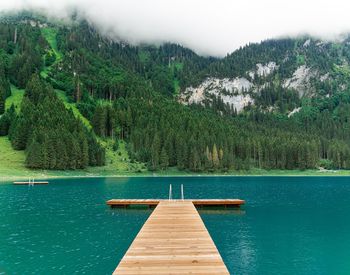 Scenic view of lake in forest