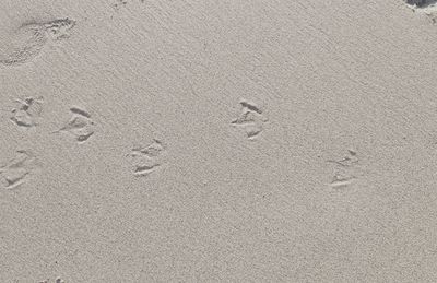 High angle view of footprints on sand