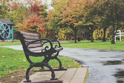 Empty bench by trees in park