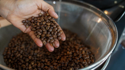 Close-up of hand holding coffee beans