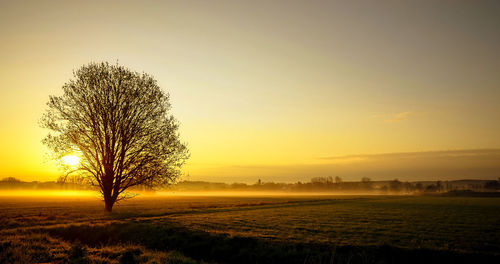 Morning glow with dust in the back
