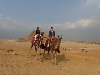 People riding camels in desert