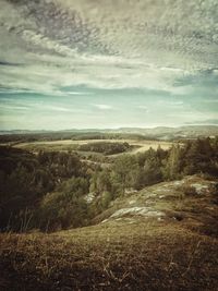 Scenic view of landscape against sky