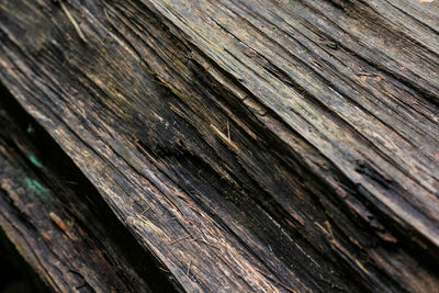 Detail shot of wood