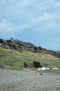 View of a horse on field against sky