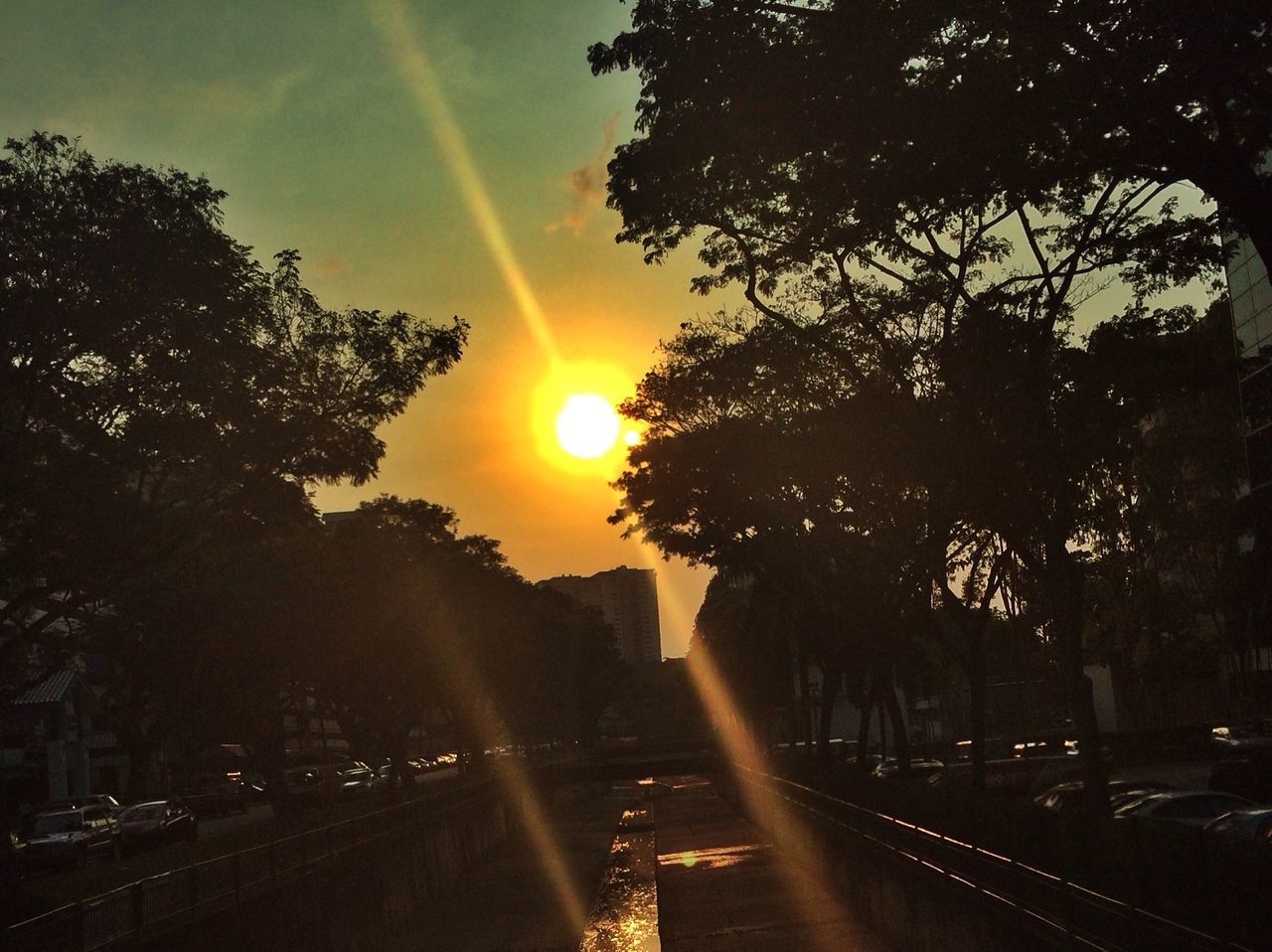 sunset, tree, silhouette, sun, sky, orange color, road, sunlight, building exterior, car, city, beauty in nature, nature, street, transportation, scenics, built structure, sunbeam, cloud - sky, architecture