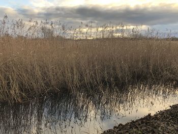 Scenic view of lake against sky