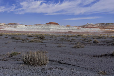 Petrified forest national park, arizona