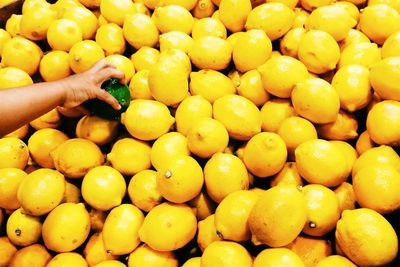 Close-up of hand holding citrus fruit