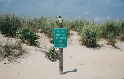 Bird perching on sign board against grass growing at beach