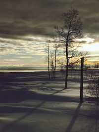 Bare tree on landscape against sky at sunset