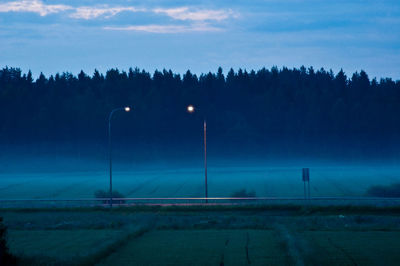 Illuminated street lights on field against trees during foggy weather at dusk