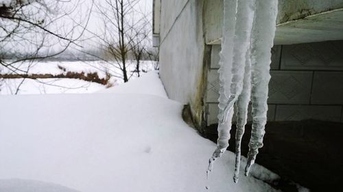 snow