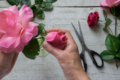 Close-up of hand holding rose roses