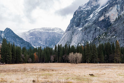 Scenic view of mountains against cloudy sky