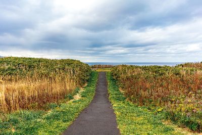 Dirt road amidst plants on field against sky