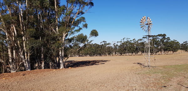 Trees on field against clear sky