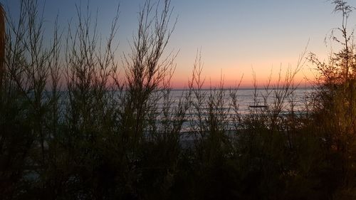 Scenic view of sea during sunset