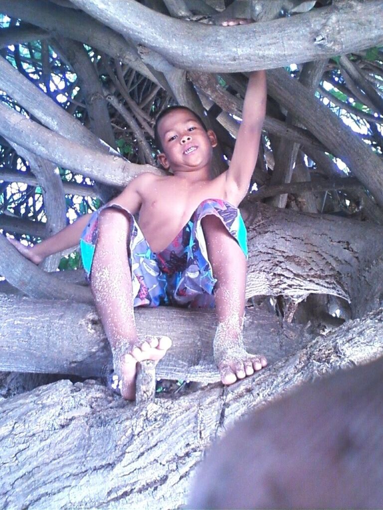 animal themes, one animal, full length, sitting, relaxation, leisure activity, mammal, lifestyles, person, portrait, looking at camera, young adult, lying down, resting, beach, sand, tree, young women