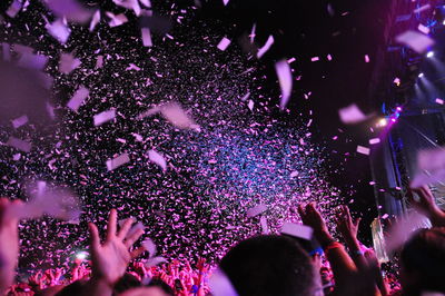 Crowd at music concert