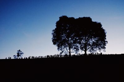 Silhouette trees on field against clear sky