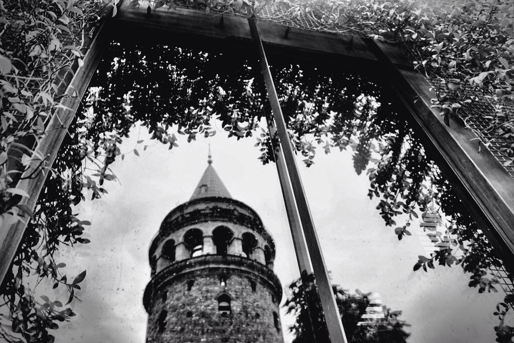 architecture, built structure, building exterior, low angle view, tree, place of worship, religion, spirituality, church, sky, famous place, dome, travel destinations, tower, arch, branch, day, history